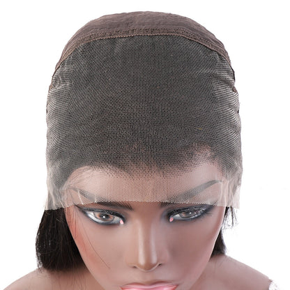 Human Hair Bone Straight Wig